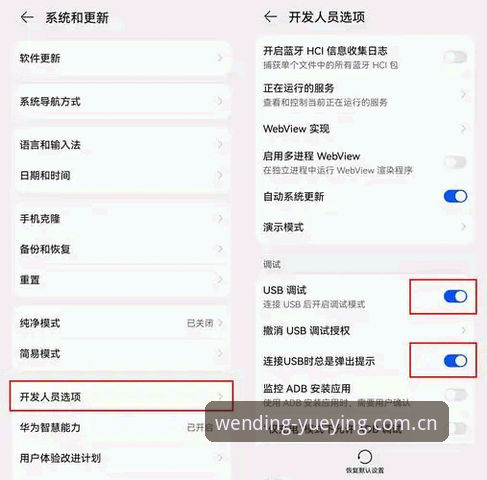 悦盈体育最新版下载2026最新版本安装与使用教程