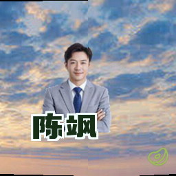 陈飒
